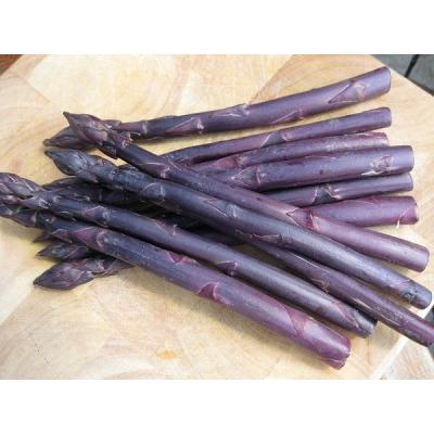 เมล็ดพันธุ์หน่อไม้ฝรั่ง (สีม่วงอ่อน) Argentuil Asparagus 10 เมล็ด