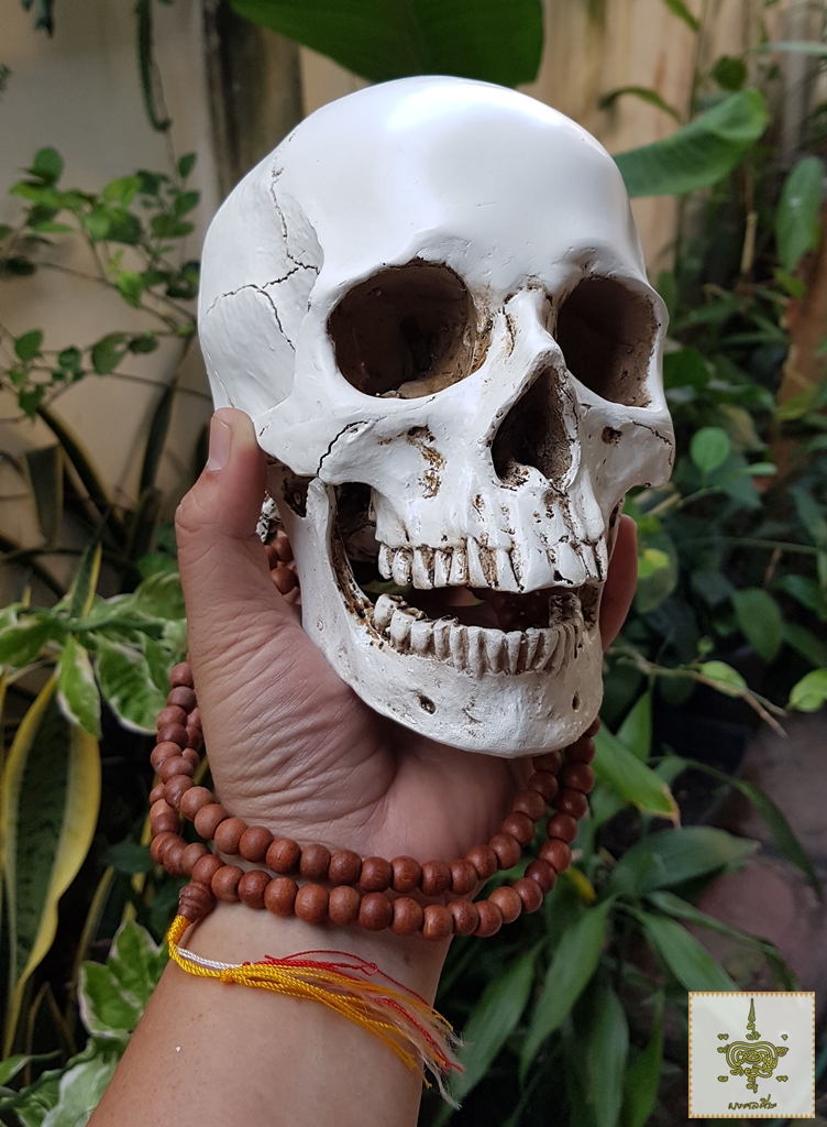 เรซินหัวกะโหลก