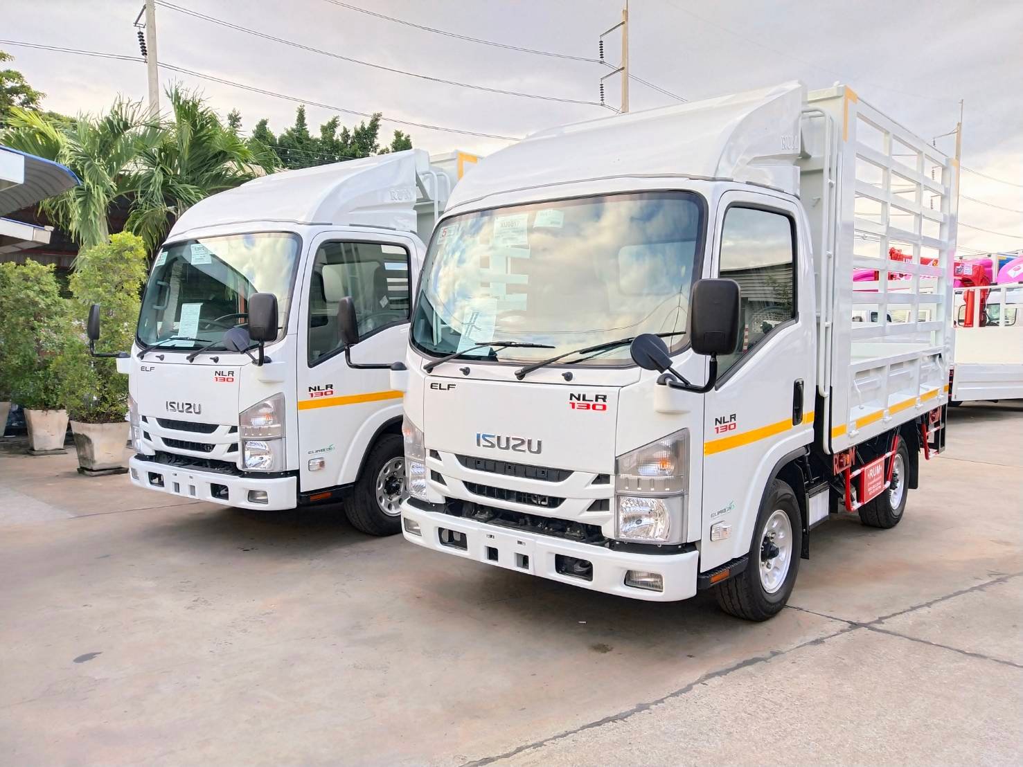 ISUZU NLR Euro 5 Max (ช่วงยาว 3 เมตร) หัวแชสซี (Chassis)