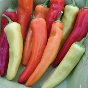 พริกฮังกาเรียลฮอทแว๊ก Hungarian hot wax 20 เมล็ด