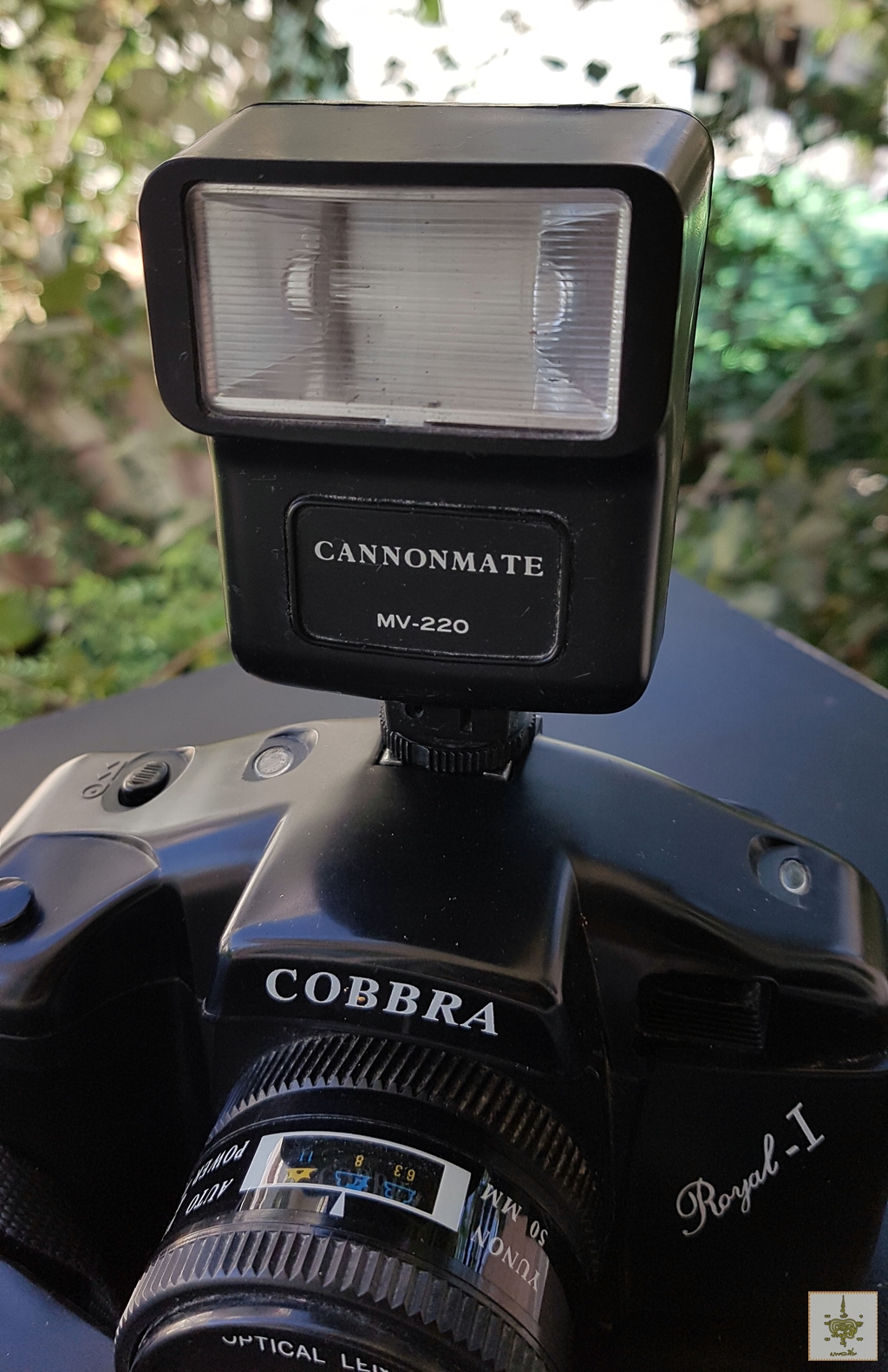 กล้องฟิลม์ COBBRA