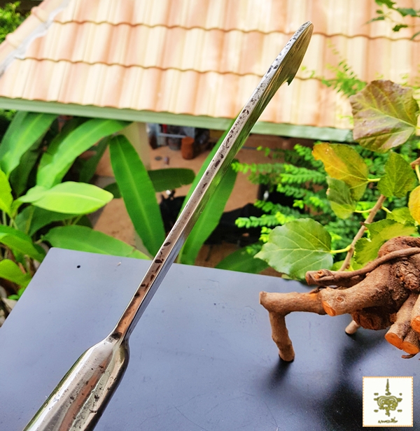 มีดเหรียญเก่า 3 ดาว