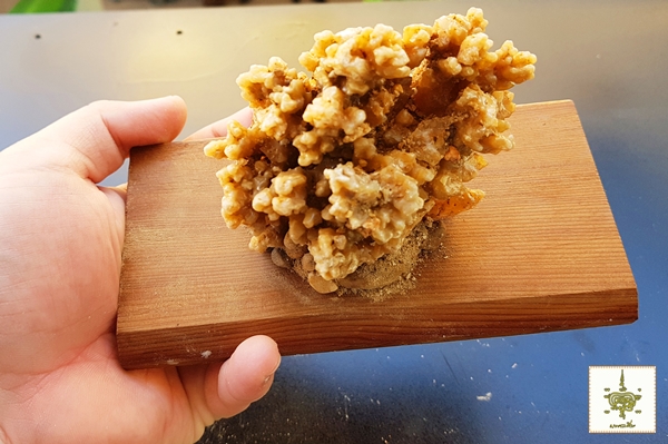 หินงอก หินย้อย ธรรมชาติ ติดแท่น 4