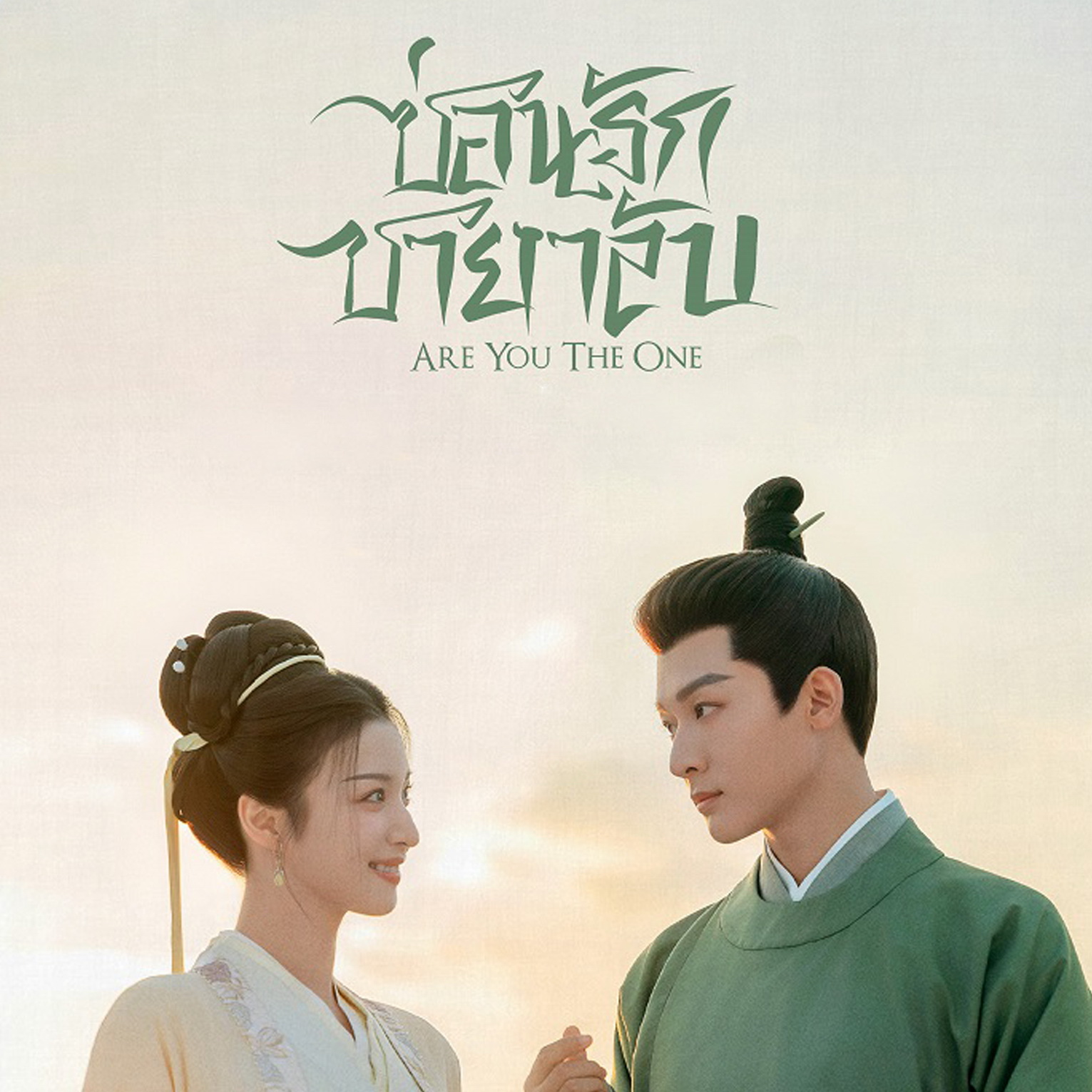[จีนพากย์ไทย] ซ่อนรักชายาลับ Are You the One DVD 7 แผ่น