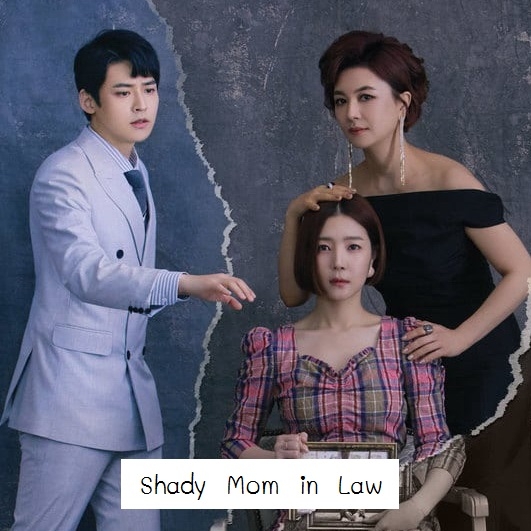 [เกาหลีซับไทย] Shady Mom in Law DVD 14 แผ่น