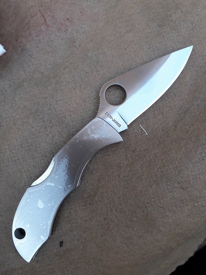 Spyderco Ladybug Tattoo Plain Edge Knife - LSSP3T