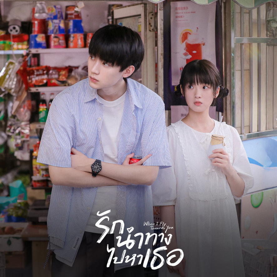 [จีนพากย์ไทย] รักนำทางไปหาเธอ When I Fly Towards You DVD 4 แผ่น