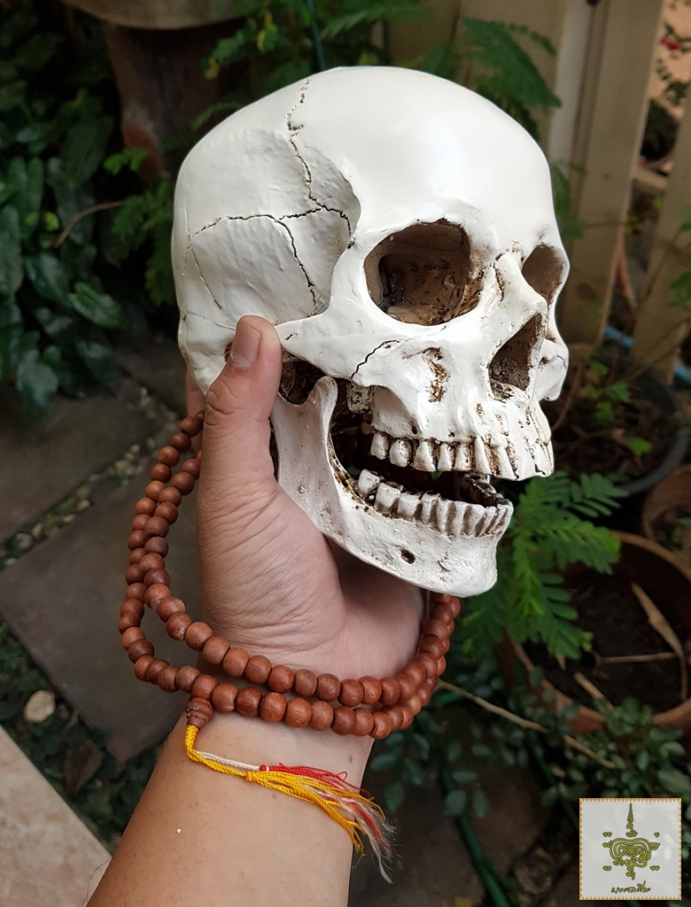 เรซินหัวกะโหลก