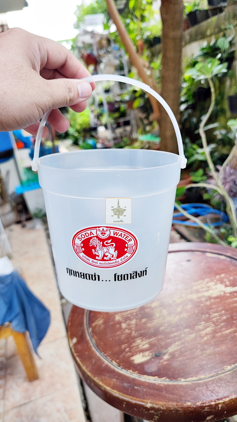 กระติกน้ำแข็ง สิงห์