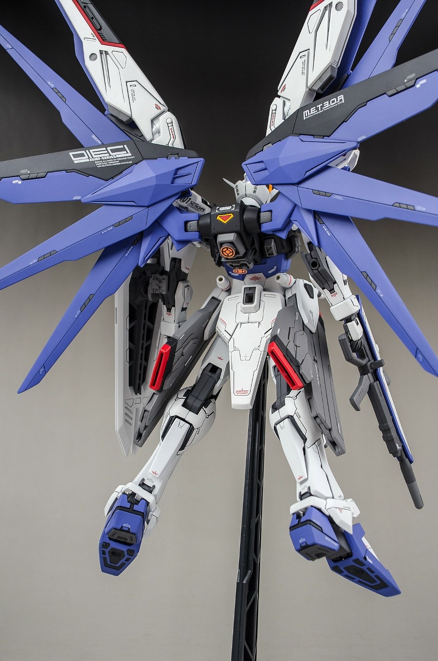 MG 1/100 FREEDOM GUNDAM | Painted Build by mushuwyou