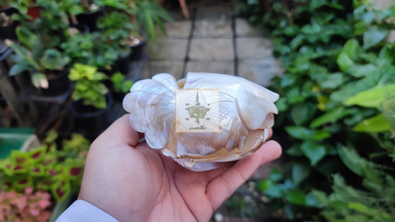 ชุดที่เขี่ยบุหรี่หอยงานเก่า