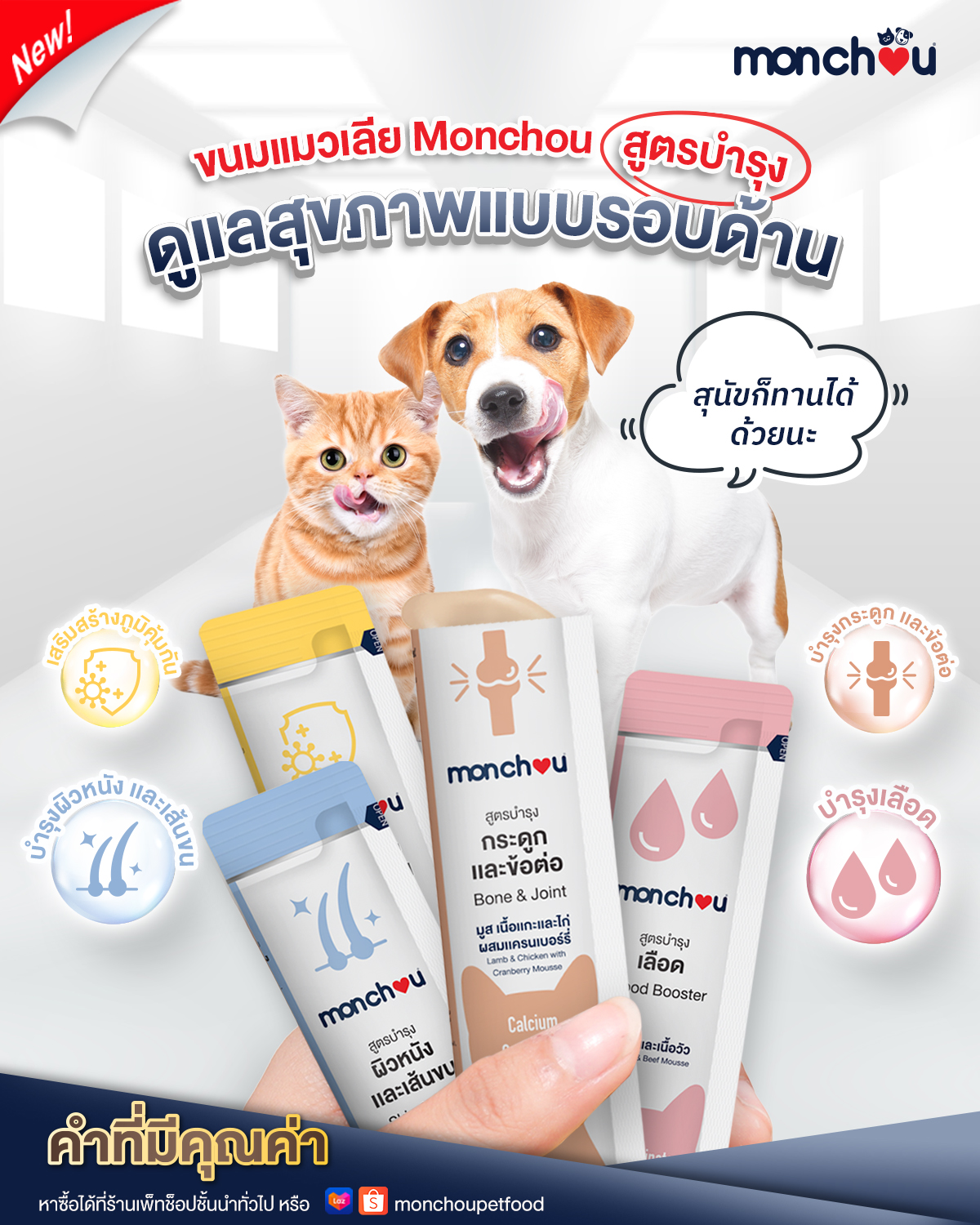 Monchou ขนมแมวเลียมองชู สูตรบำรุง 4 รสชาติ 4 สูตร ขนาด 12g x 30 ซอง