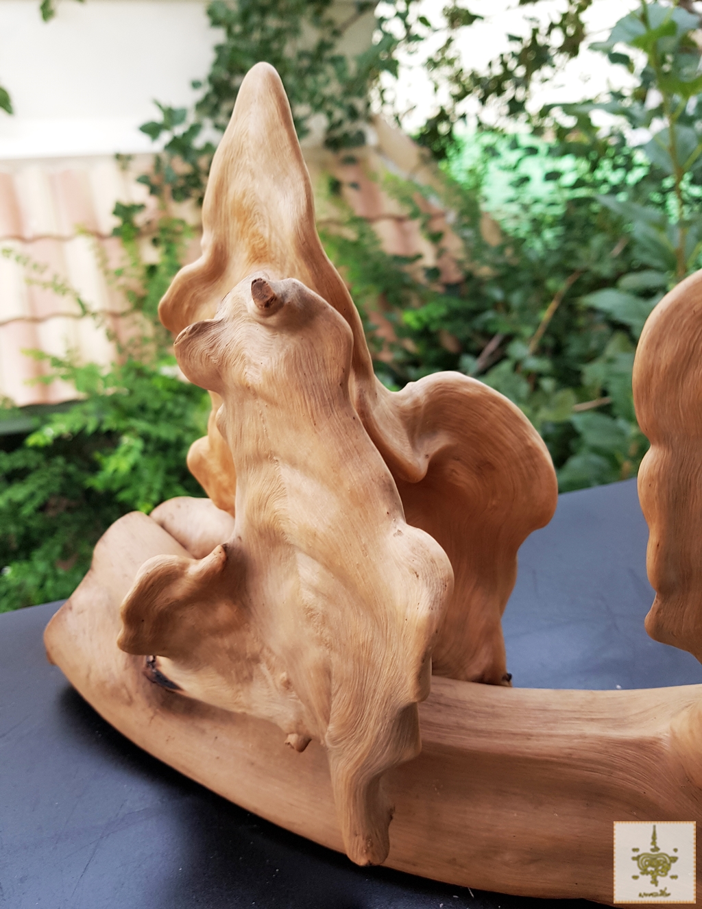 ขอนไม้แปลก