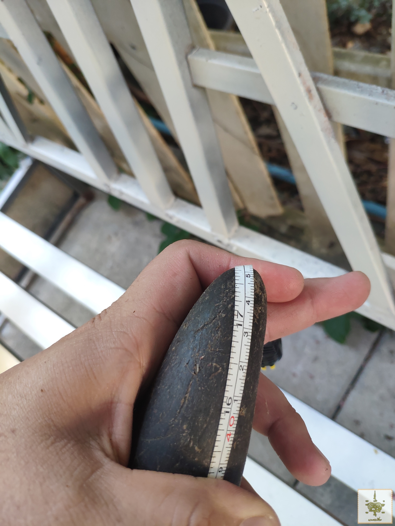 เขาวัวบรามัน ทรงอ้อมเสา