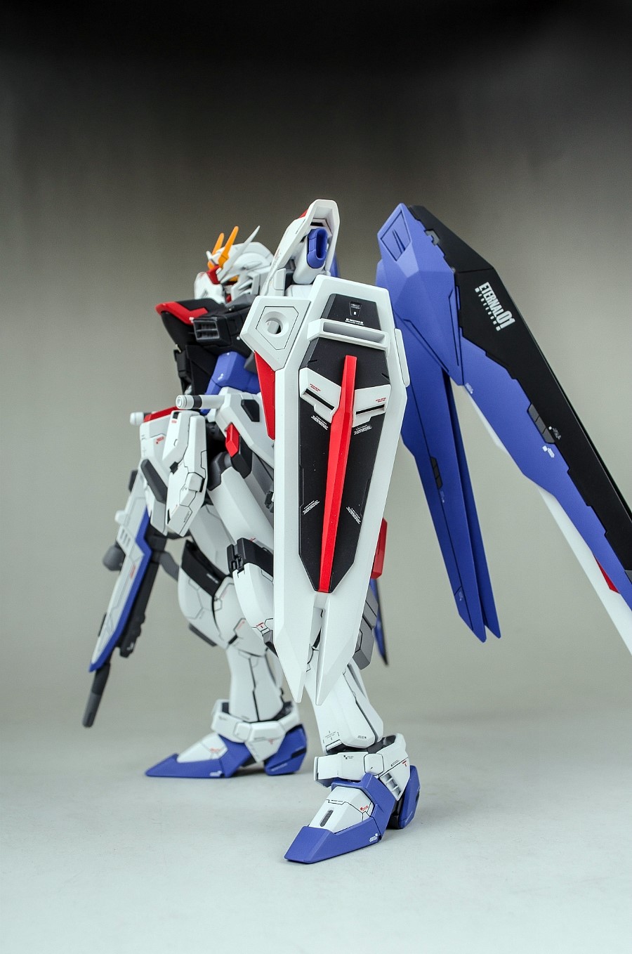 MG 1/100 FREEDOM GUNDAM | Painted Build by mushuwyou