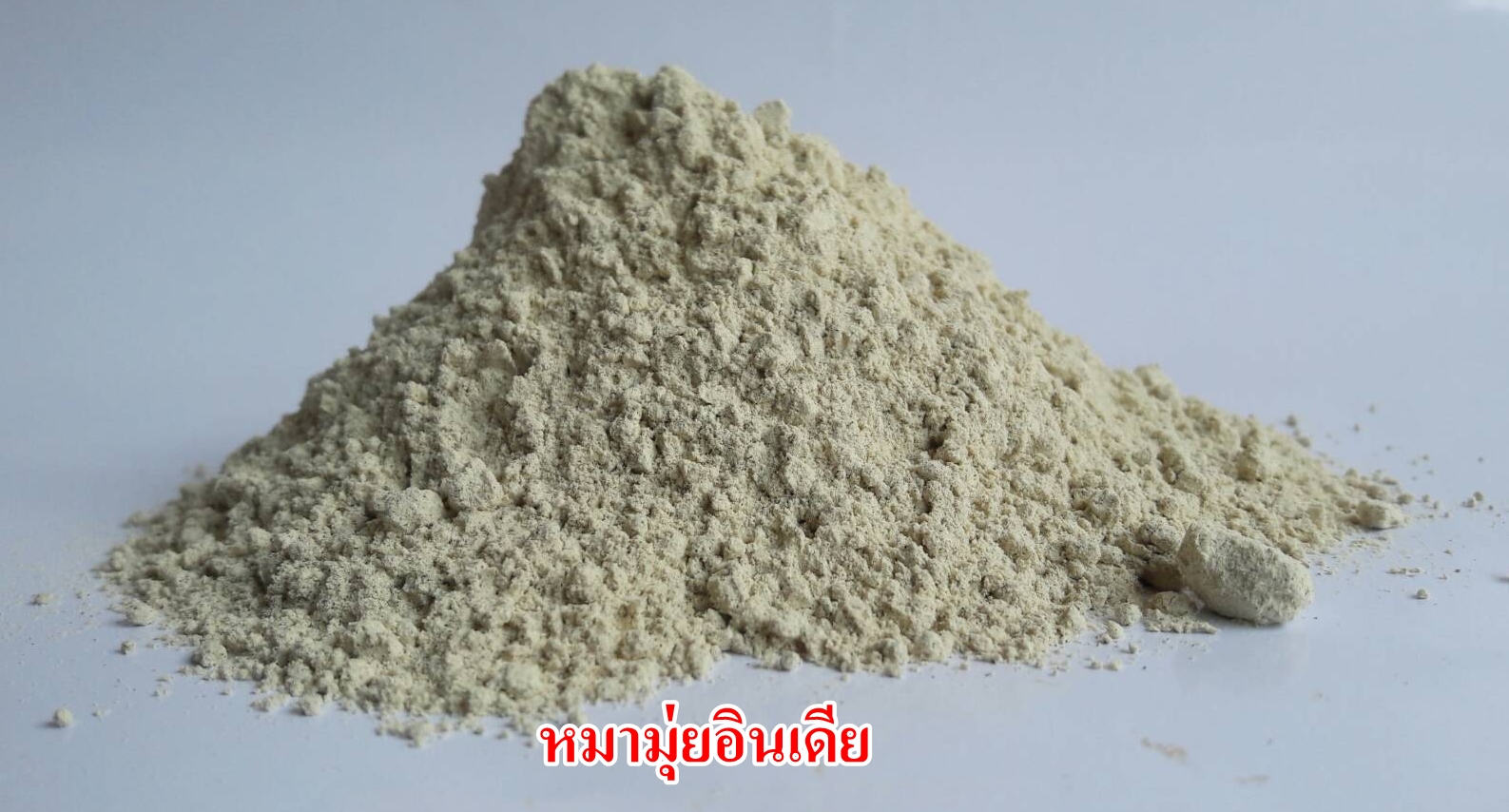 ผงหมามุ่ยอินเดีย 100% (Velvet bean Powder)