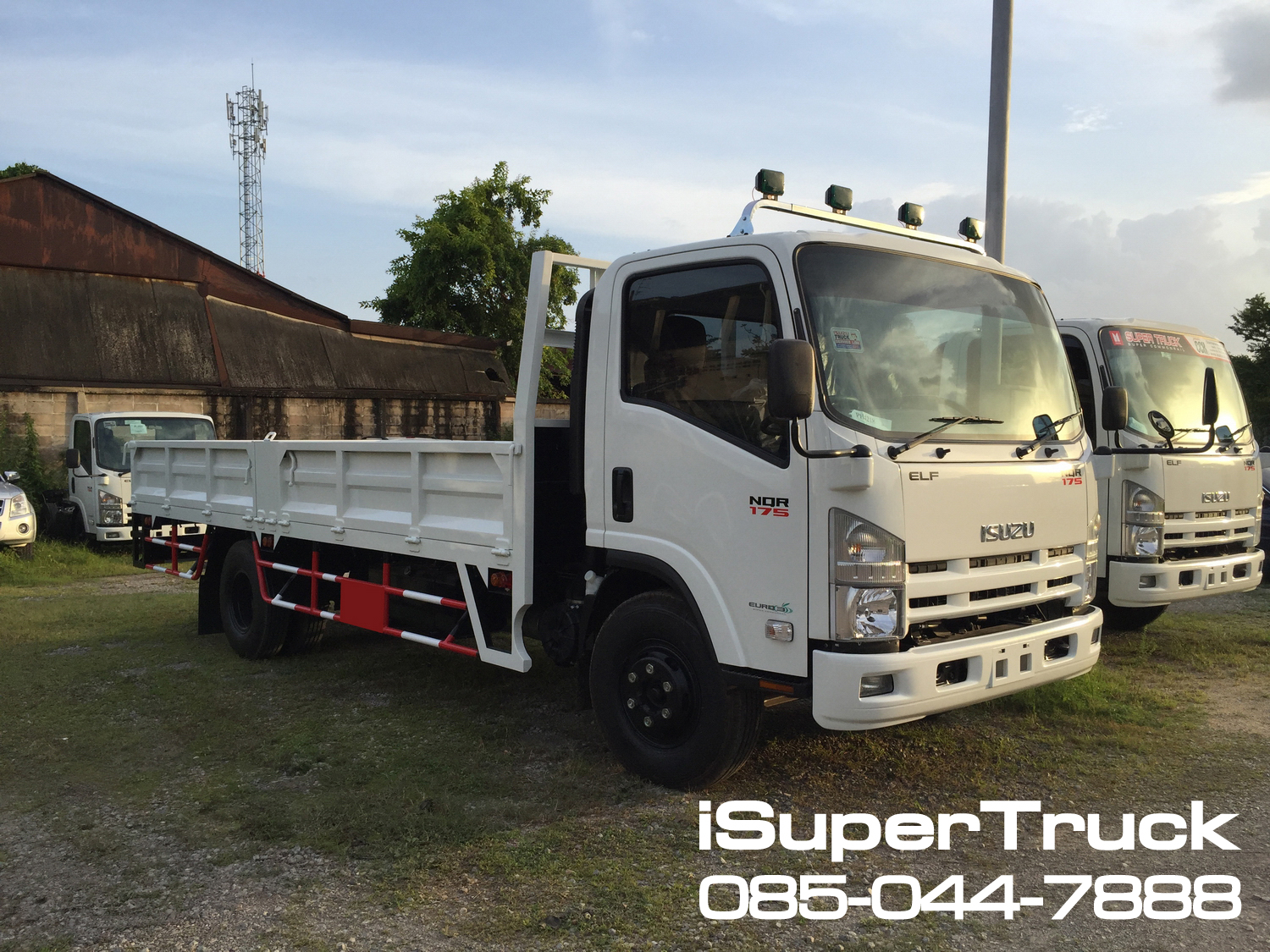 ISUZU NQR Euro 5 Max (ช่วงยาว 5.6 เมตร) หัวแชสซี (Chassis)