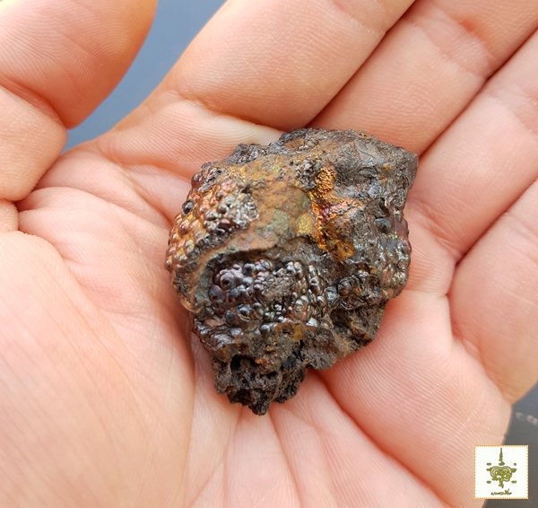 เหล็กไหลงอกเจ็ดสี เขาในปง