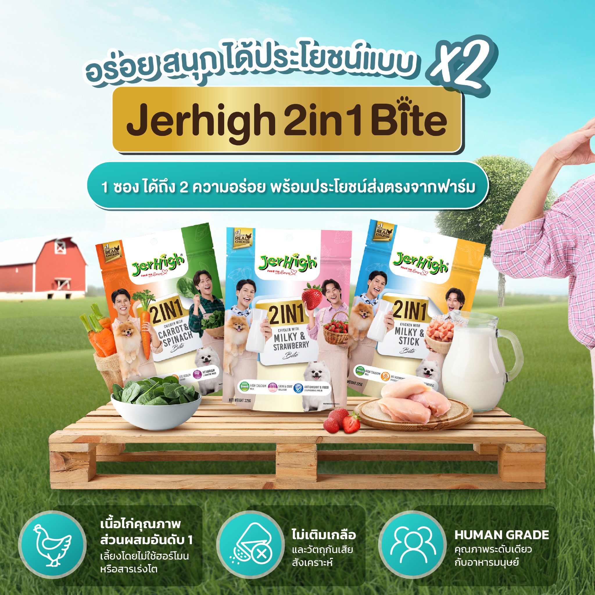 Jerhigh JerHigh 2in1 Bite ขนมสุนัขเจอร์ไฮ ชิ้นนุ่มพอดีคำ 225g.