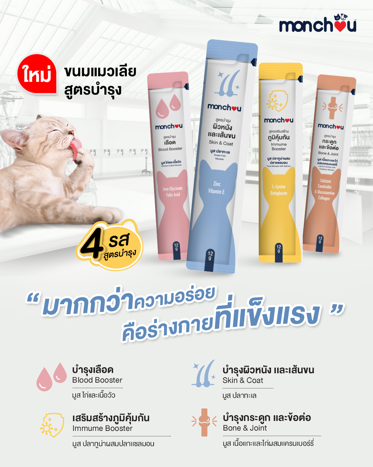 Monchou ขนมแมวเลียมองชู สูตรบำรุง 4 รสชาติ 4 สูตร ขนาด 12g x 30 ซอง