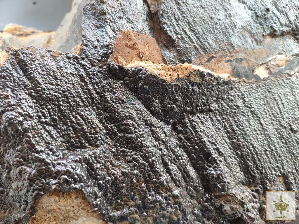 เหล็กไหลงอก จังหวัดนครศรีธรรมราช