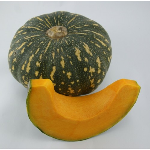 เมล็ดฟักทองญี่ปุ่น Japanese Pumpkin 7 เมล็ด