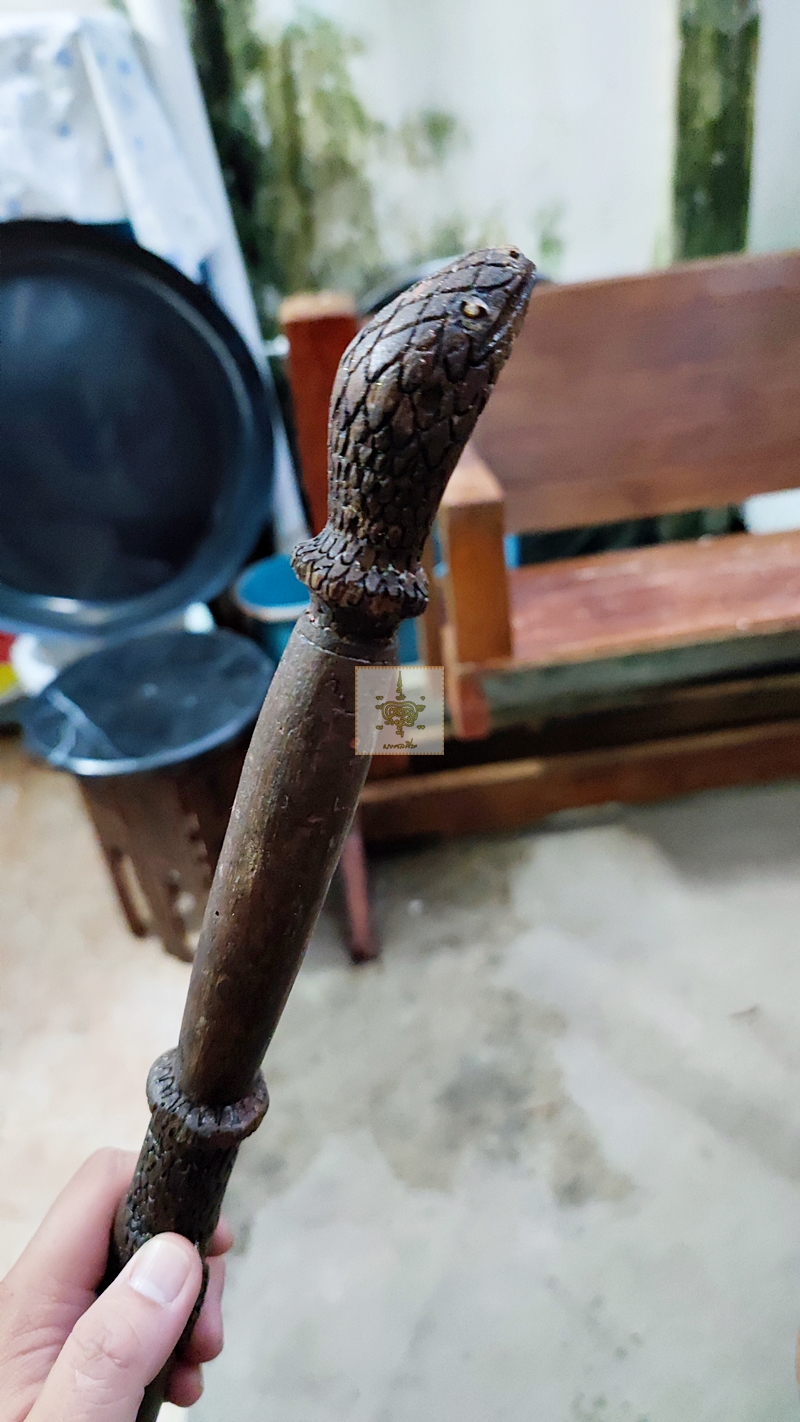 ไม้ตะพตงู