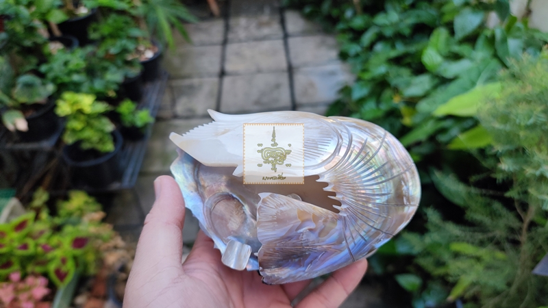 ชุดที่เขี่ยบุหรี่หอยงานเก่า