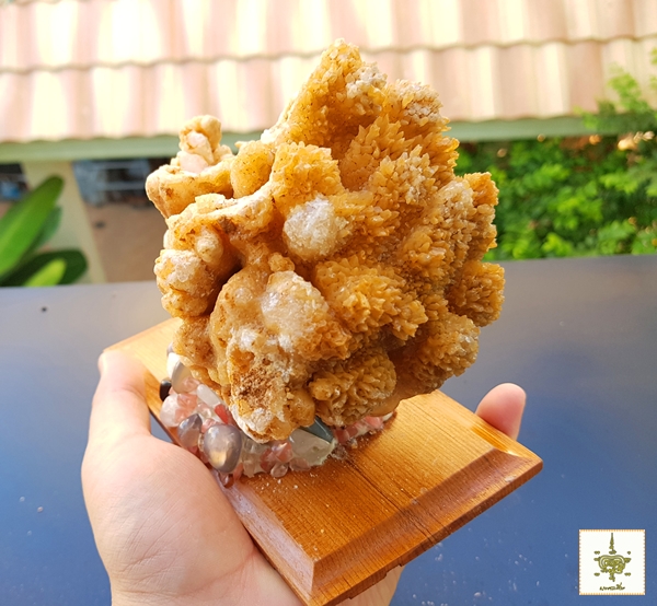 หินงอก หินย้อย ธรรมชาติ ติดแท่น 6 ทรงดอกกระหล่ำ