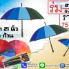 ขายร่ม ขายร่มส่ง ขายร่มส่งราคาถูก บริษัทธนาค้าร่มรวย เป็นโรงงานผลิตร่ม