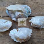 ชุดที่เขี่ยบุหรี่หอยงานเก่า