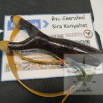 หนังสติ๊ก ไม้ตาล