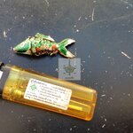 พวงกุญแจปลา