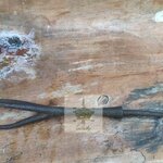 ฉมวกโบราญ