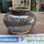 กระปุกตั้งฉ่าย สีสวาท