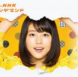 Hiyokko ซับไทย ซีรี่ย์ญี่ปุ่น DVD 10 แผ่น