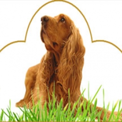 ThinkOfPet