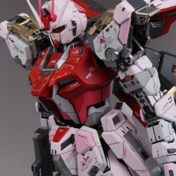 Painted Build : PG STRIKE ROUGE & SKYGRASPER by power03311