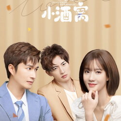 [จีนซับไทย] In Love With Your Dimples ยิ้มรักปักใจ DVD 4 แผ่น