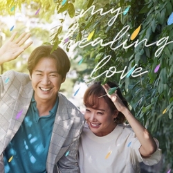 [เกาหลีซับ] My Healing Love ซับไทย ซีรี่ย์เกาหลี DVD 10 แผ่น