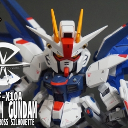 Painted Build : SDCS FREEDOM GUNDAM + CS FRAME by yoh0919