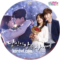 While You Were Sleeping ซับไทย เกาหลี DVD 4 แผ่นจบ