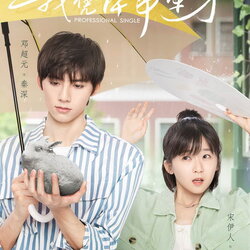 [จีนซับไทย] Professional Single โสดฉบับมืออาชีพ DVD 4 แผ่น