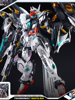 THUNDERBOLT MANTA RAY