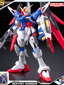 RG DESTINY GUNDAM