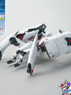 HG REGINLEIF (KURENA / ANJU USE)