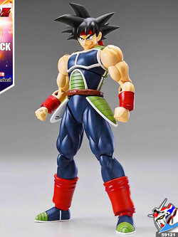 FRS BARDOCK