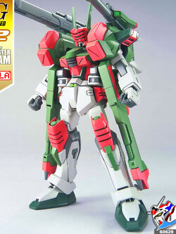HG VERDE BUSTER GUNDAM