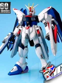 1/60 FREEDOM GUNDAM