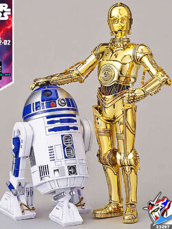 1/12 C-3PO & R2-D2